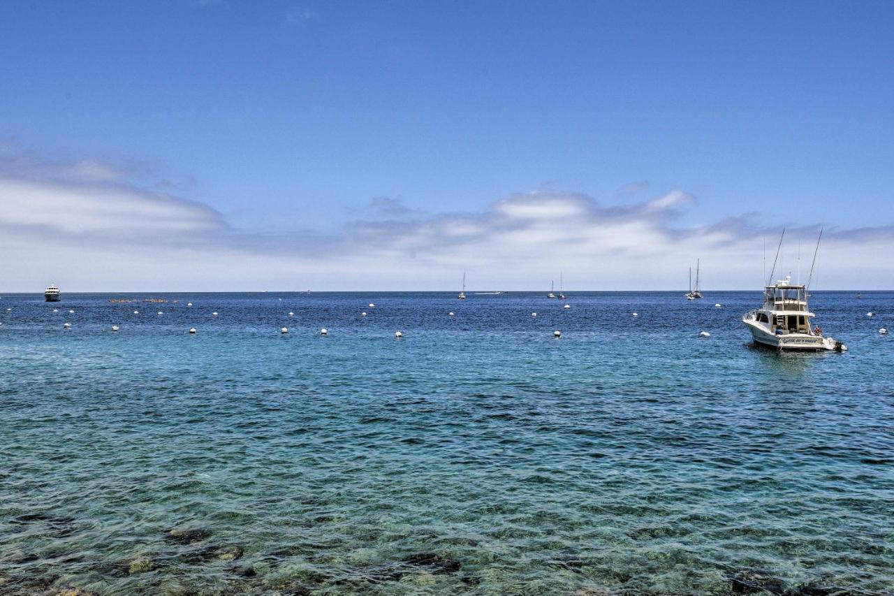 Catalina Island Cottage - Walk To Main St And Beach! Avalon Exteriör bild